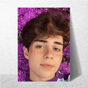 Vulnerable Is the Vibe Benji Krol Posters