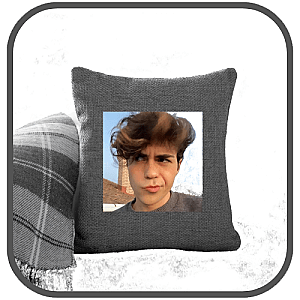 Benji Krol Pillows Cover