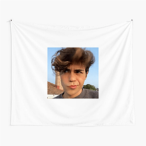 Moodboard in Motion Benji Krol Tapestries