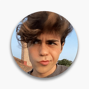 Moodboard in Motion Benji Krol Pins