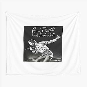 Amazing singer logos album Ben platt Tapestry