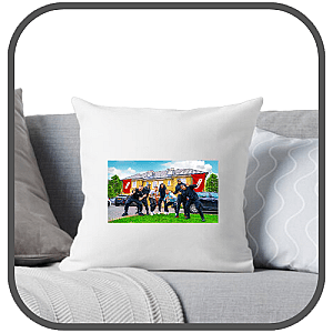 Beta Squad Pillows Cover