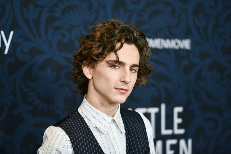 Timothée Chalamets Journey: From Indie Darling to Hollywood Powerhouse