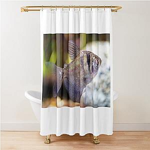 Black Widow Tetra Fish Shower Curtain