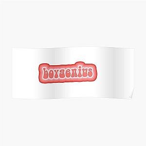 boygenius groovy red Poster RB0208