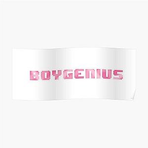 boygenius pixel pink Poster RB0208