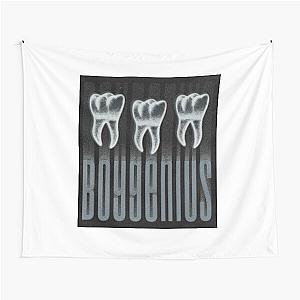 Boygenius Teeth  Tapestry