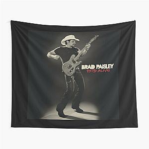 Brad Paisley Hits Alive Tapestry