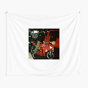 No Limits, Just Brian 636 Brian 636 Tapestries