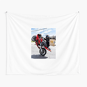 636 All Gas, No Brakes Brian 636 Tapestries
