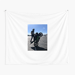 Fueled by Brian 636 Brian 636 Tapestries