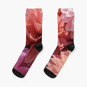 Bridesmaids Socks