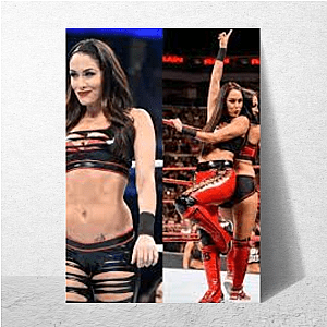 TV Personality Brie Bella Brie Bella Posters