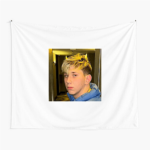 Brunenger Viral Vibe Master Brunenger Tapestries