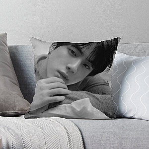 BT21 Pillows - Jin / Kim Seok Jin - BTS Throw Pillow RB2103