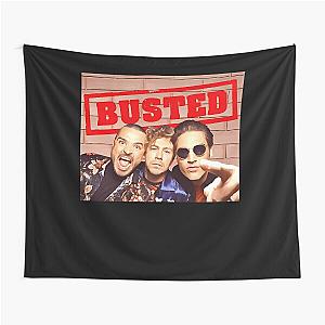 Busted band Tapestry