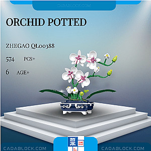 ZHEGAO QL00388 Orchid Potted Creator Expert