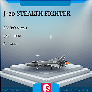 SEMBO 202241 J-20 Stealth Fighter Military