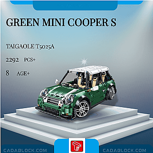 TaiGaoLe T5025A Green MINI Cooper S Technician