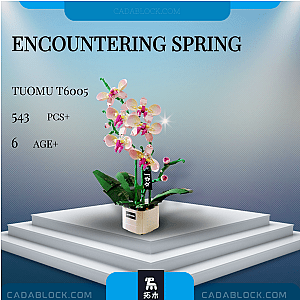 TuoMu T6005 Encountering Spring Creator Expert