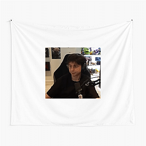 Caedrel The Professor Caedrel Tapestries