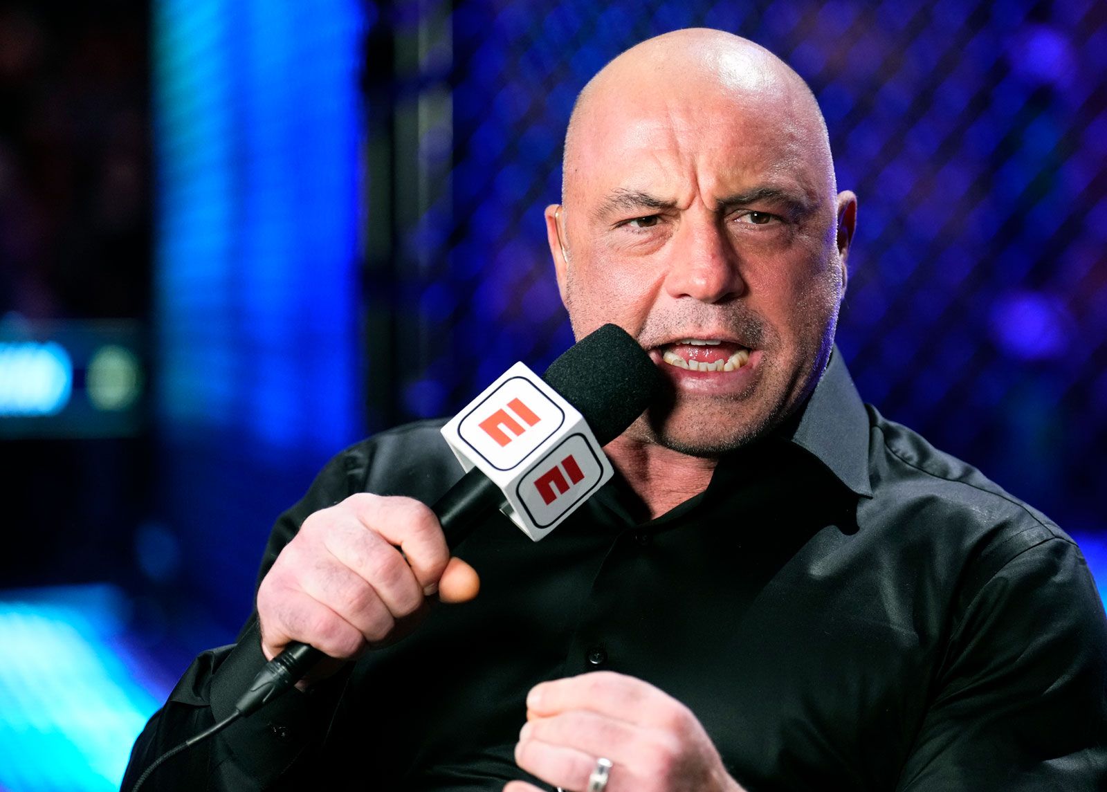 Unlock the Best Joe Rogan Merchandise for True YouTube Fans