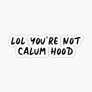 You're Not Calum Hood