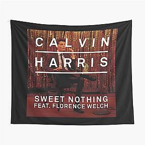 Calvin Harris sweet nothing Tapestry