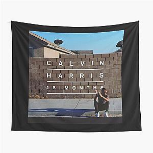 Calvin Harris 18 months Tapestry