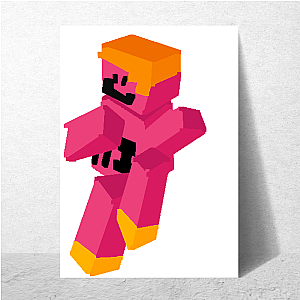 camman18 Minecraft Facts Camman18 Posters