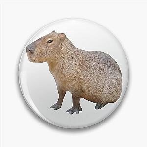 Sitting Capybara Pin