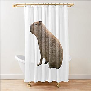 Capybara Sits Shower Curtain