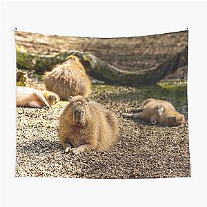 Capybara taking the Sun Tapestry