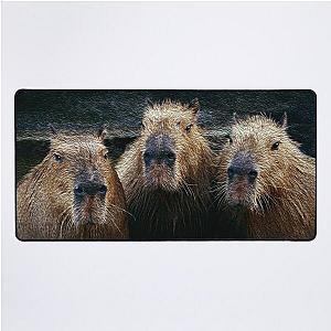 3 Capybaras chilling Desk Mat