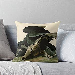 Black Vulture or Carrion Crow Birds of America Pillow