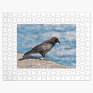 Carrion Crow Corvus corone Against the Harbour Waters Jigsaw Puzzle