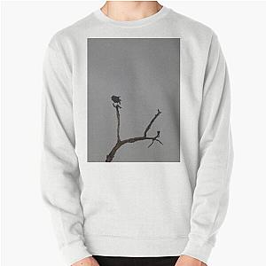 Carrion Crow Pullover Sweater