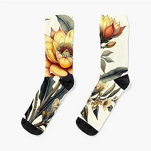 Orbea lutea (Yellow Carrion Flower) Sock