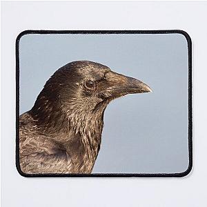 Carrion Crow Corvus corone Mouse Pad