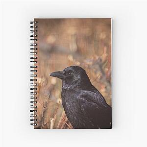 Carrion Crow Portrait Notebook