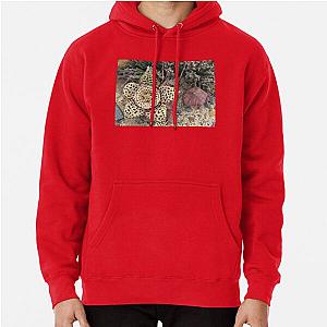 Orbea variegata - The Carrion Flower Hoodie