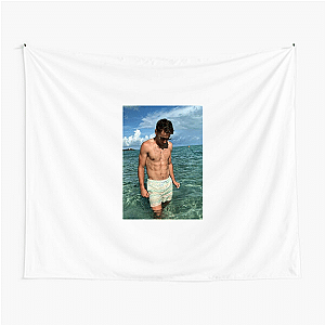 Casper Ruud The Viking Casper Ruud Tapestries