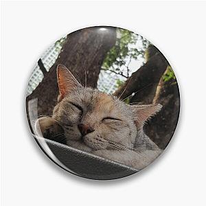 catnap in the city Pin