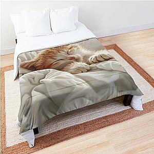 Cute kitten taking a catnap 24 Comforter