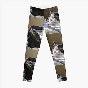 Catnap  Leggings