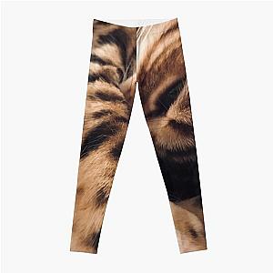 Catnap Leggings