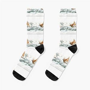 Cute kitten taking a catnap 27 Socks