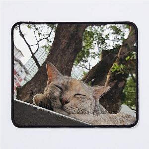 catnap in the city Mouse Pad