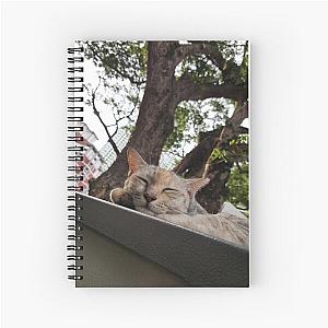 catnap in the city Spiral Notebook