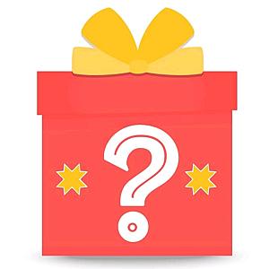 Mystery Merch Gift